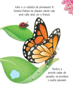 Cicluri de viata. Fluturasul. Carte cu clapete ( Usborne) #CR110 - Img 2