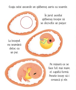 Cicluri de viata. Puisorul. Carte cu clapete ( Usborne) #CR103 - Img 4