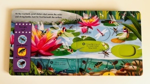 First Explorers: Brilliant Bugs - Push-pull-slide - Campbell #BK512 - Img 4