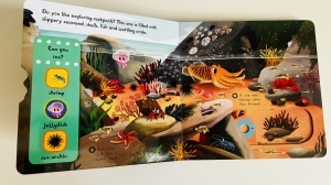 First Explorers: Sea Creatures - Push-pull-slide - Campbell #BK520 - Img 3