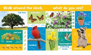 Look and Learn: Nature #BK210 - Img 3