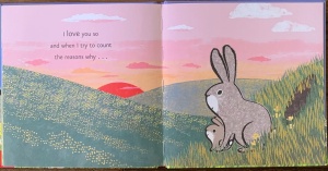 Love … - by Emma Dodd #BK272 - Img 7