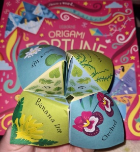 Origami Fortune Tellers - Usborne #BK391 - Img 9