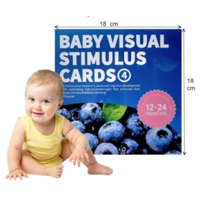 Set Carduri Vizuale pentru Bebelusi 12-24 luni #JJ5600