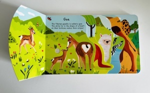 Busy Animals - Grasslands - Sound Book #BK493 - Img 2