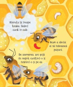 Cicluri de viata. Albinuta. Carte cu clapete ( Usborne) #CR115 - Img 3