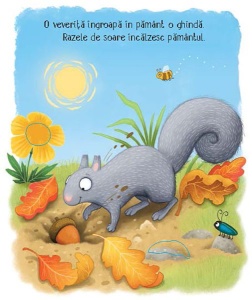 Cicluri de viata. Copacelul. Carte cu clapete ( Usborne) #CR116 - Img 2