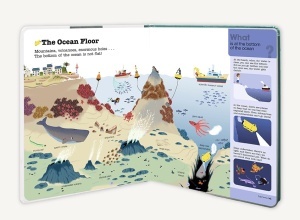 Do You Know? : Oceans and Marine Life #BK303 - Img 8