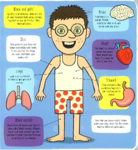 Little Explorers: My Amazing Body #BK412 - Img 5