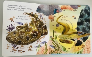 Peep Inside a Coral Reef - Lift the Flaps- Usborne #BK388 - Img 5