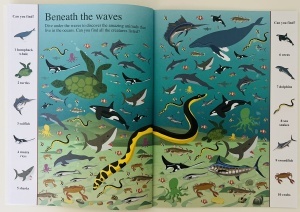 Search and Find: Animals #BK240 - Img 4