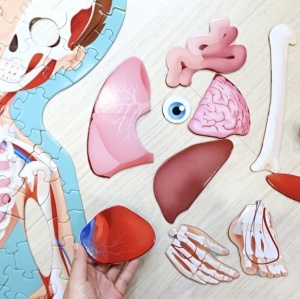 Set educativ Corpul Uman - Puzzle Mare si Carte, 130 cm x 45 cm #JJ5256 - Img 3