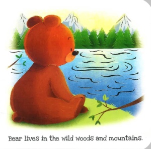 What Does Bear Like? - Touch and Feel #BK336 - Img 2
