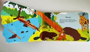 Busy Animals - Forest - Sound Book #BK494 - Img 6