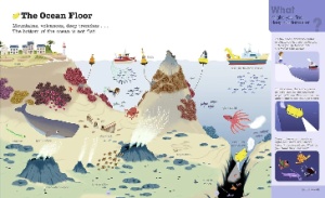 Do You Know? : Oceans and Marine Life #BK303 - Img 4