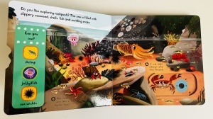 First Explorers: Sea Creatures - Push-pull-slide - Campbell #BK520 - Img 4