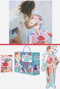 Set educativ Corpul Uman - Puzzle Mare si Carte, 130 cm x 45 cm #JJ5256 - Img 6