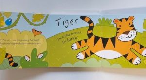 Whose Stripes? - with Giant Flaps #BK305 - Img 2