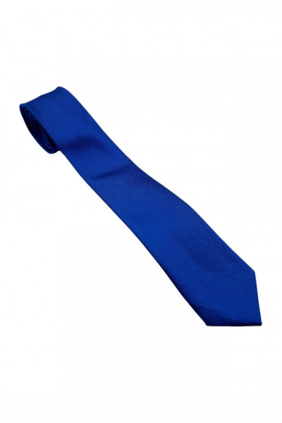 Cravata barbati, model ingust, cu aspect texturat, NO4313, 5 x 174 cm, Albastru