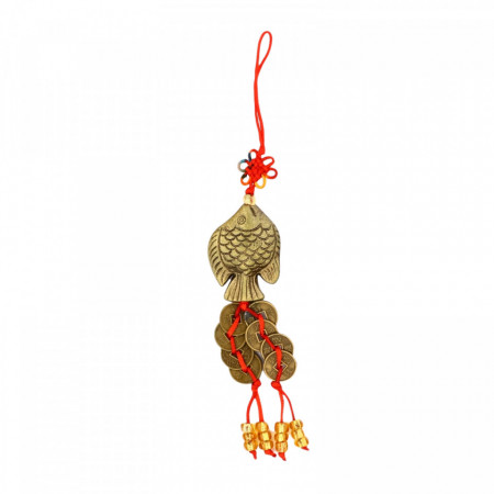 Canaf / Amuleta Crapul norocos cu nod mistic, 8 monede, Feng Shui, 12 cm, Auriu