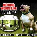 Протеини за кучета Bully Max 60 таблетки