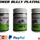 Протеин POWER BULLY 98% Platinum 500гр.