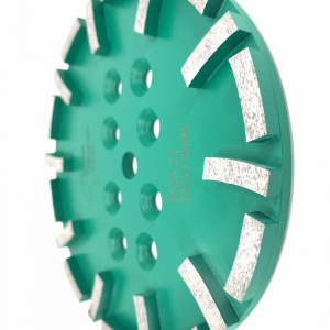 Disc cu segmenti diamantati pt. slefuire pardoseli - segment dur - Verde - 250 mm - prindere 19mm - DXDY.8500.250.23 - Img 6