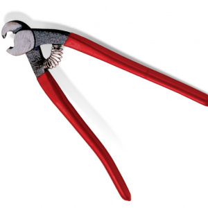Cleste papagal - RUBI-65925