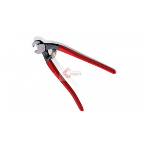 Cleste papagal - RUBI-65925 - Img 2