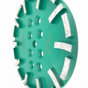 Disc cu segmenti diamantati pt. slefuire pardoseli - segment dur - Verde - 250 mm - prindere 19mm - DXDY.8500.250.23 - Img 3