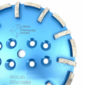 Disc cu segmenti diamantati pt. slefuire pardoseli - segment fin - Albastru - 250 mm - prindere 19mm - DXDY.8500.250.63 - Img 6
