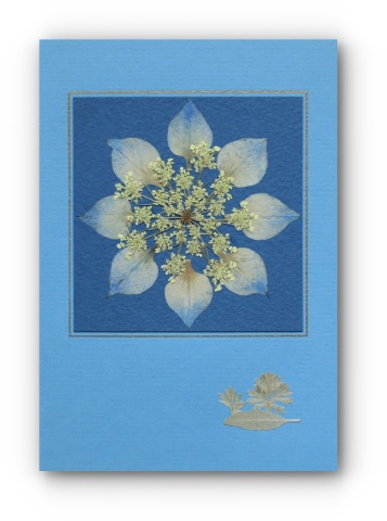 Felicitare de iarnă albastră