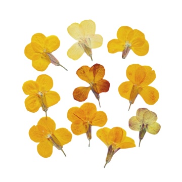 flori de micșunea