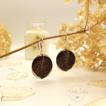 cercei Lunaria "Black beauty"