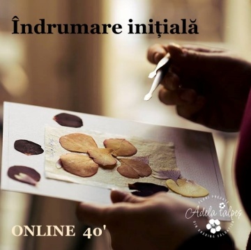 Ședință de îndrumare individuală inițială