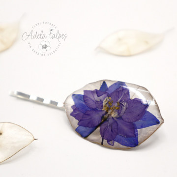 clamă Lunaria "Delphinium mov"