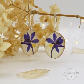 cercei Lunaria "Regalis"