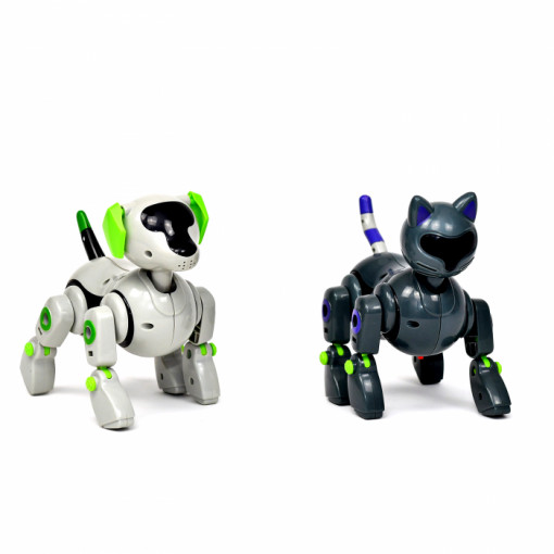 Pachet Roboti Electromecanici - Catel si Pisica