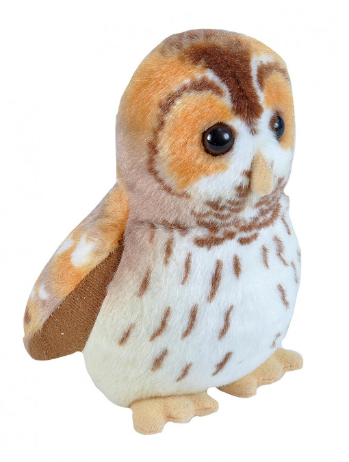 Pasare cu sunet Bufnita Bruna - Tawny Owl