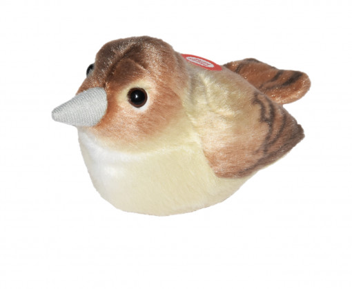 Pasare cu sunet Privighetoare - Nightingale