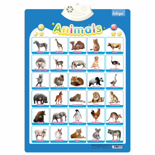 Poster Interactiv in Limba Engleza - Animale