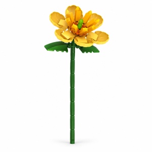 Floare de construit– Magnolia Champaca