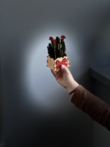 Puzzle 3D din Lemn 46 Piese - Cactusi in Ghiveci - Img 7