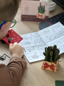 Puzzle 3D din Lemn 46 Piese - Cactusi in Ghiveci - Img 4