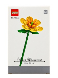 Floare de construit– Magnolia Champaca - Img 2