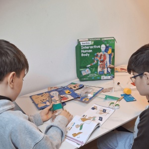 Set Constructie din Lemn - Corpul Uman Interactiv - Img 11