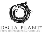 DACIA PLANT