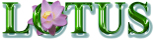 LOTUS PHARMEDICALS