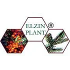 ELZIN PLANT