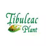TIBULEAC PLANT